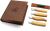 BeaverCraft řezbářská sada Geometric Wood Carving Knives Set in Book Case